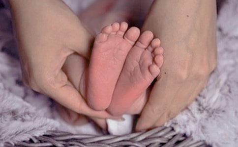 ������������x�x���(15ƪ)