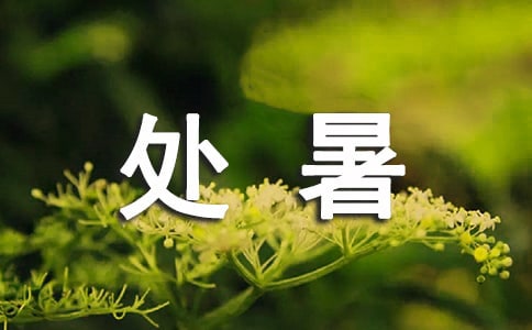 處暑節(jié)氣的說說