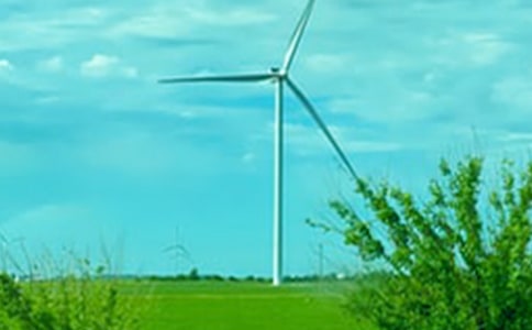 ���P���L��Ԋ��