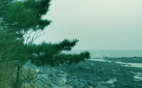 (優秀)春風的作文15篇