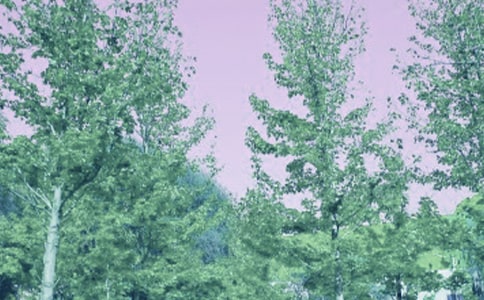 �P�ڴ��L��Ԋ��