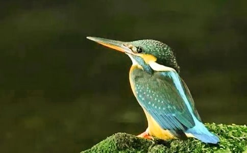 �˽̰����꼉�Զ���Ԫ���ģ�С���B��һ�Ρ������ó̡�