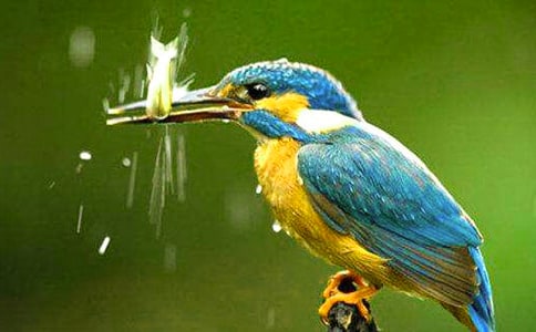 ���õĴ��B����300��