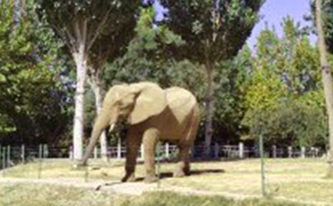 ����ͺ�����x��