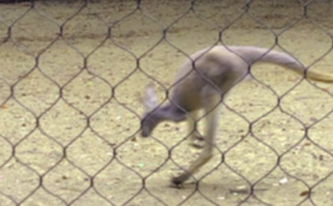 ������������ļ��\��6ƪ��