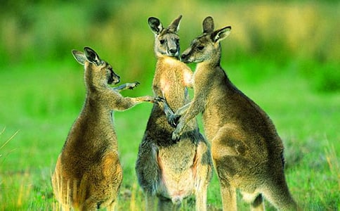 �����M(j��n)�ǹ���