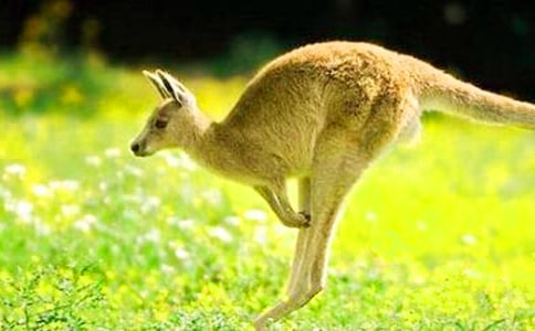 (��)�������������