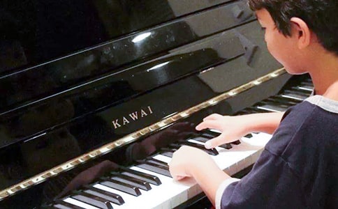 彈琴的樂趣作文