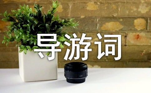 重慶天坑地縫導游詞