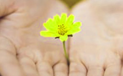 ��Ů���ѵ�Ǹ�Ķ���