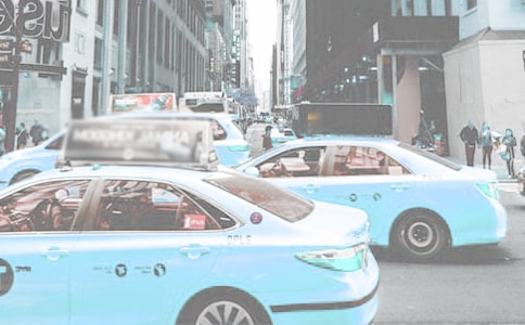 ���������ʿ�c�ƌW