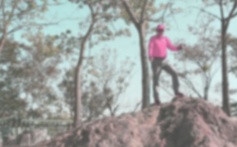 �P�ڵ�ɽ���Č���[14ƪ]