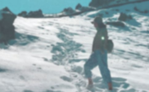 登山的作文合集15篇