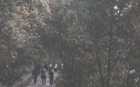 關于登山老人500字作文(通用48篇)