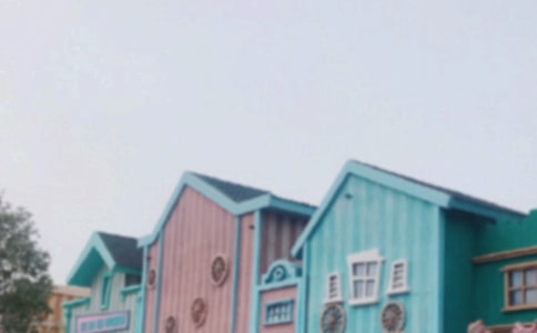 游覽上海迪士尼作文(通用15篇)