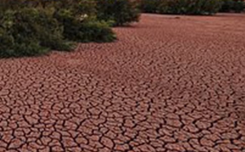 (熱門)地球在呻吟作文8篇