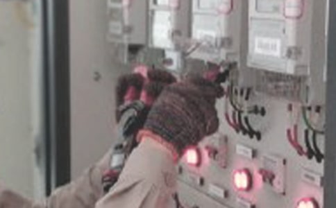 ���P늹��������b��10ƪ