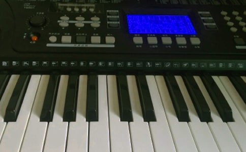 我的電子琴作文