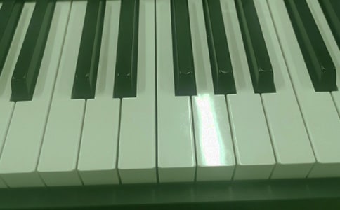 ����ٿ�������