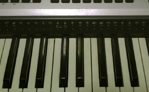 電子琴作文15篇【優(yōu)】