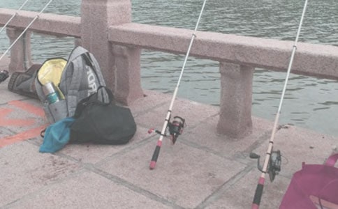 釣魚看圖寫話【集合15篇】