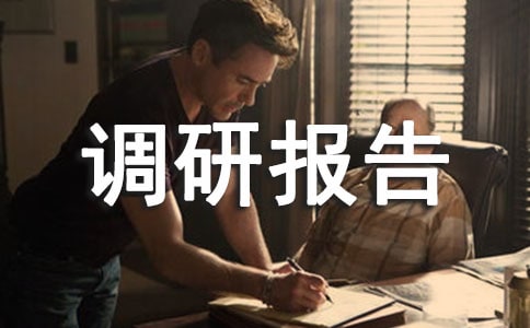 街道婦聯(lián)工作情況調(diào)研報告