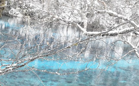 走過冬季作文(精)