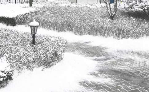 [���A]�ٺ���Ķ���Ҳ��ů������