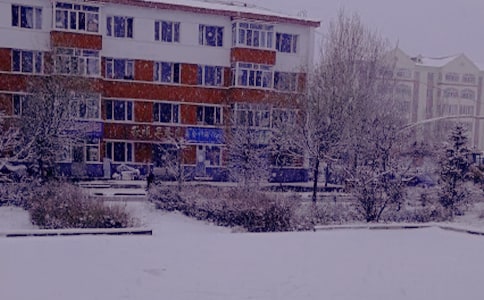 冬日里的陽光作文(熱)