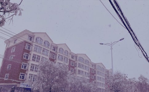 冬日暖陽作文(精華)