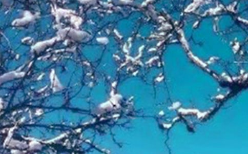 冬天吃雪糕的說說