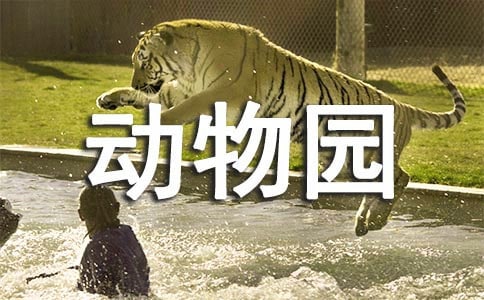 小小動物園作文(匯編10篇)