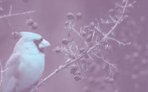 長春動植物公園