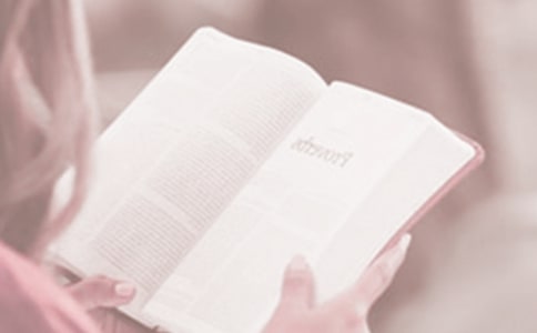 世界讀書日口號