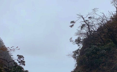 ��üɽ֮�����ġ����x��