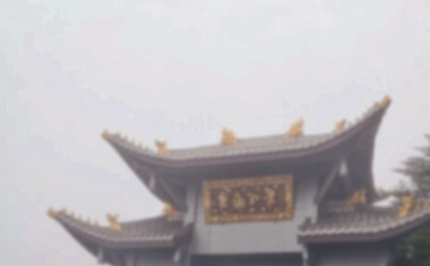 關(guān)于游峨眉山作文