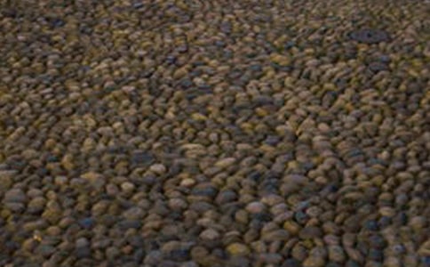 我喜歡的鵝卵石作文