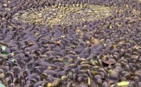 ���]������һ�w�Z��ʯ����