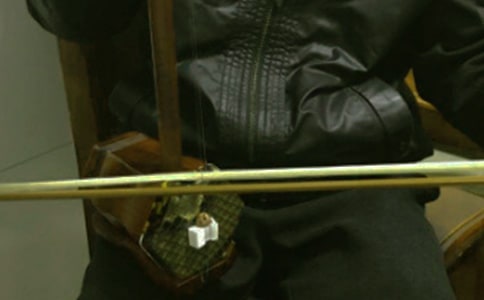 我愛二胡作文4篇