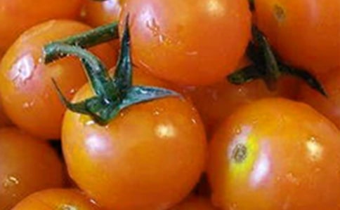 番茄炒蛋作文(精選50篇)