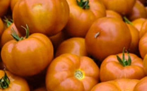 (精華)番茄炒蛋作文