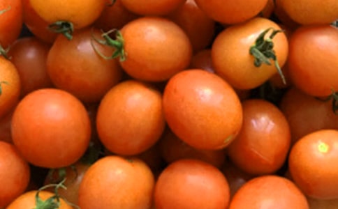 番茄炒蛋作文(精)