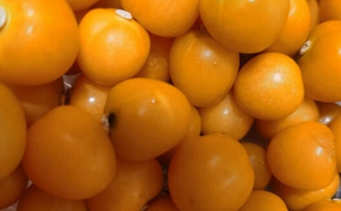 ���ѳ�������(�ϼ�)