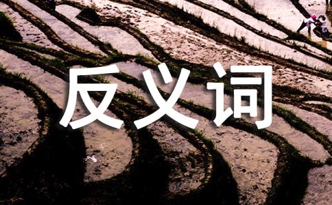 aabb形式的成語反義詞(精選250個)