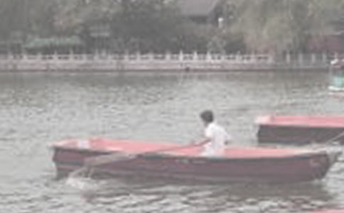 �ĺ���������