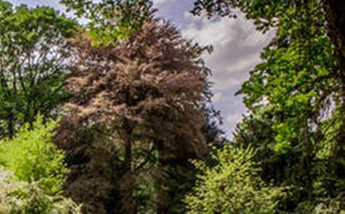 ·�ϵ��L(f��ng)����(sh��)��[15ƪ]