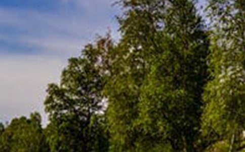 關(guān)于風景的諺語大全