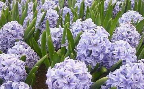 �L��������[���x15ƪ]