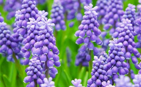 ���L���Ӿ`�ŵĕr������