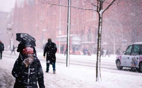 ����Ʒ���Lѩ������300��4ƪ